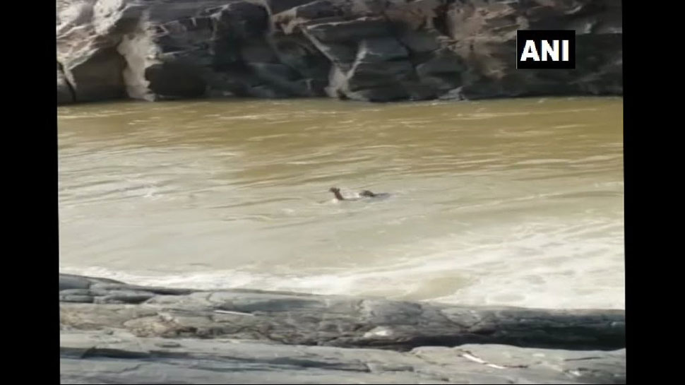 ओडिशा: छात्र ले रहा था सेल्फी, अचानक झरने में गिरकर बह गया