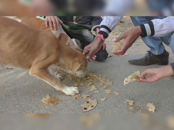 सेवा और आस्था की बाव से स्थानीय लोगों की टीम ये काम करती है.