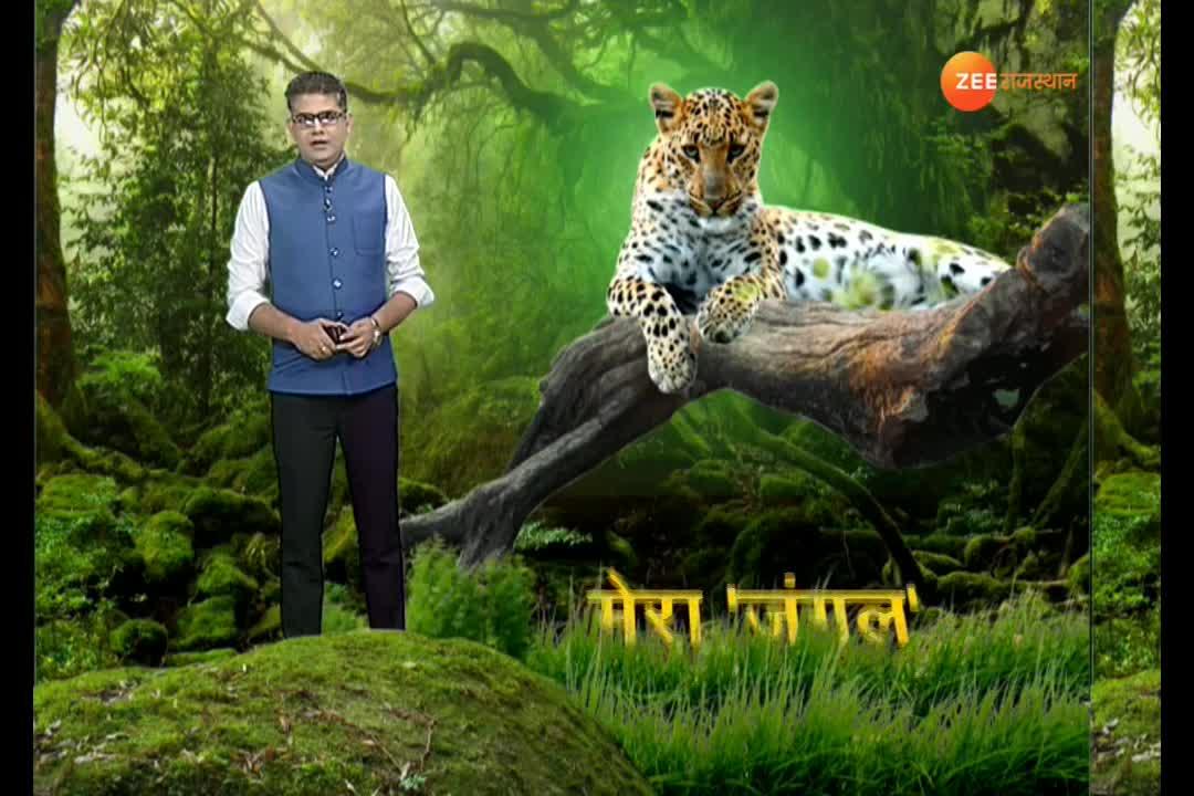 slogan forest department hindi