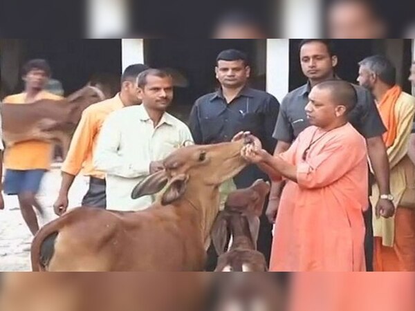 फाइल फोटो