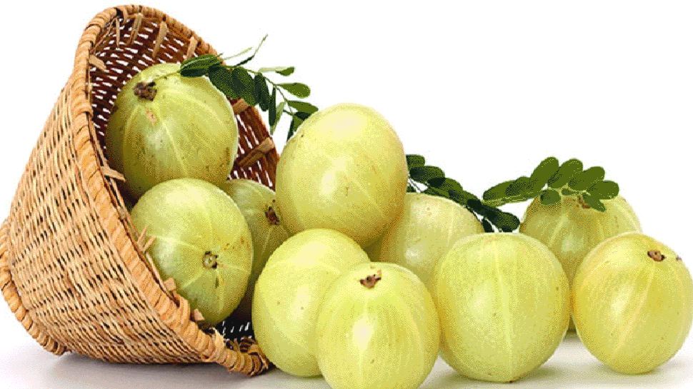 सर्दियों में डैंड्रफ ने कर दिया है परेशान, तो शैम्पू नहीं यूज करिए आंवला सर्दियों में डैंड्रफ ने कर दिया है परेशान, तो शैम्पू नहीं यूज करिए आंवला