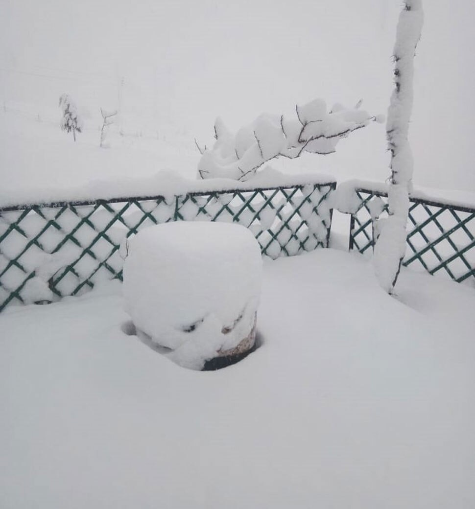 himachal shimla heavy snowfall