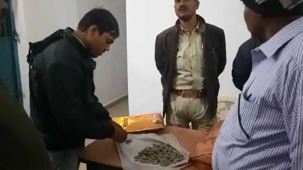 MP: अनूपपुर के किसान को खुदाई में मिले मुगलकालीन चांदी के सिक्के, थाने में कराया जमा