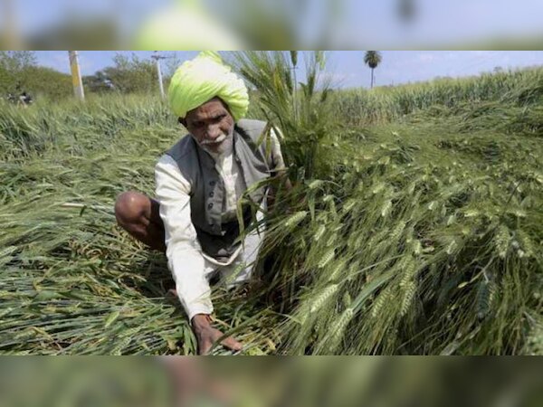 फाइल फोटो 