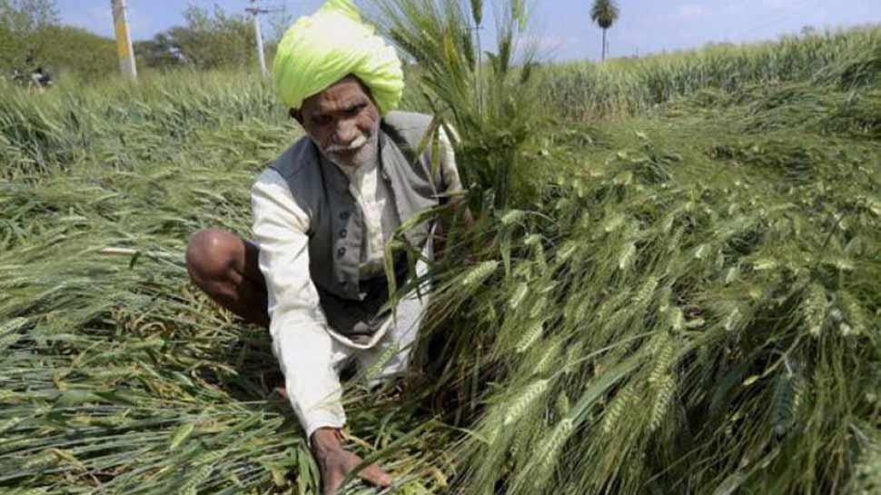 मध्य प्रदेश में किन किसानों को मिलेगा मुख्यमंत्री फसल ऋण माफी योजना का लाभ, जानिए पूरी खबर मध्य प्रदेश में किन किसानों को मिलेगा मुख्यमंत्री फसल ऋण माफी योजना का लाभ, जानिए पूरी खबर
