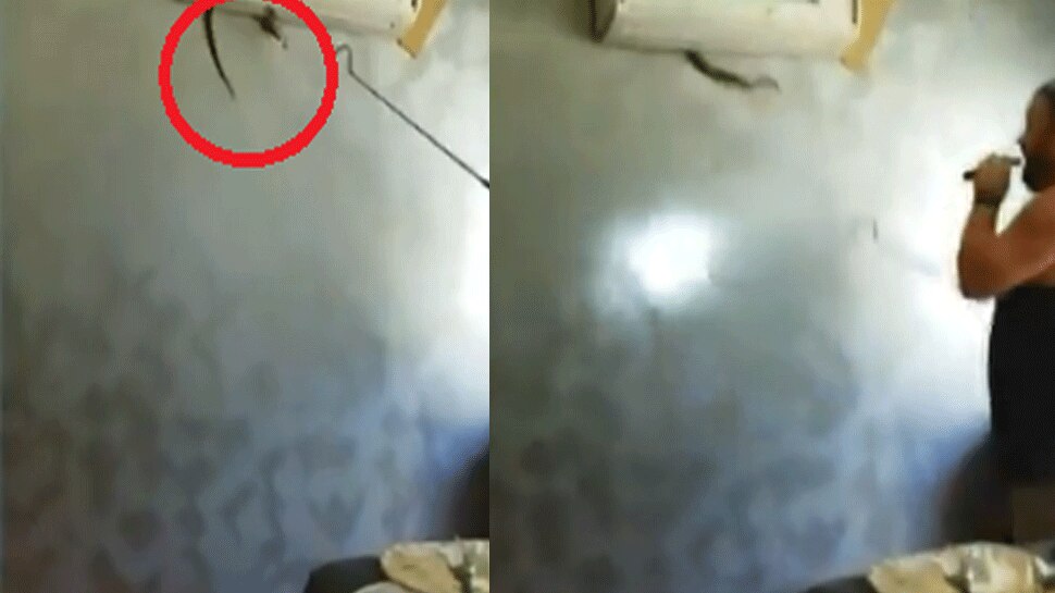 VIDEO : बेडरूम के एसी में छुपा था सांप, देखते ही कपल की निकली चीख-पुकार