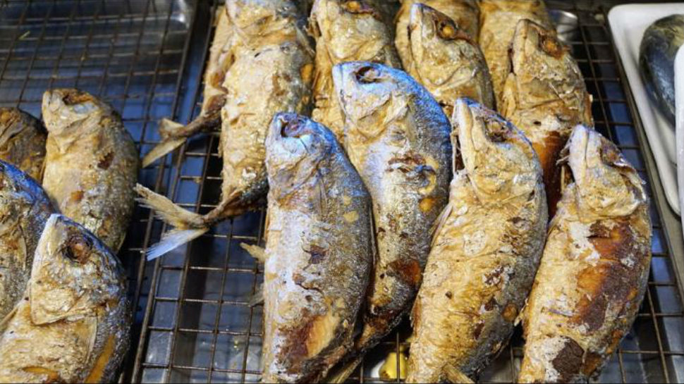 फर्मलीन का प्रयोग मछलियों को अधिक दिनों तक सुरक्षित रखने के लिए किया जाता है. (फाइल फोटो) फर्मलीन का प्रयोग मछलियों को अधिक दिनों तक सुरक्षित रखने के लिए किया जाता है. (फाइल फोटो)