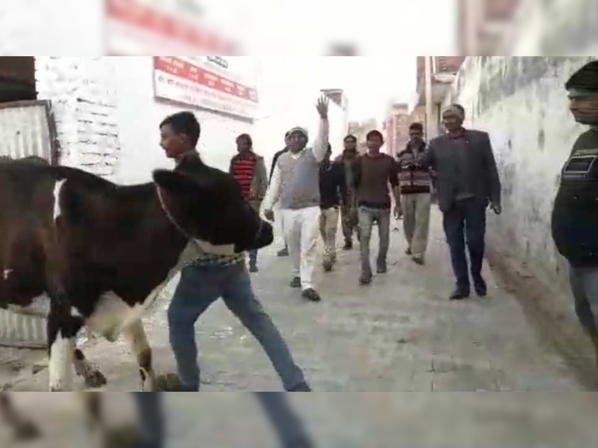 गौशाला में तकरीबन 100 गायों के रहने की व्यवस्था की गई है