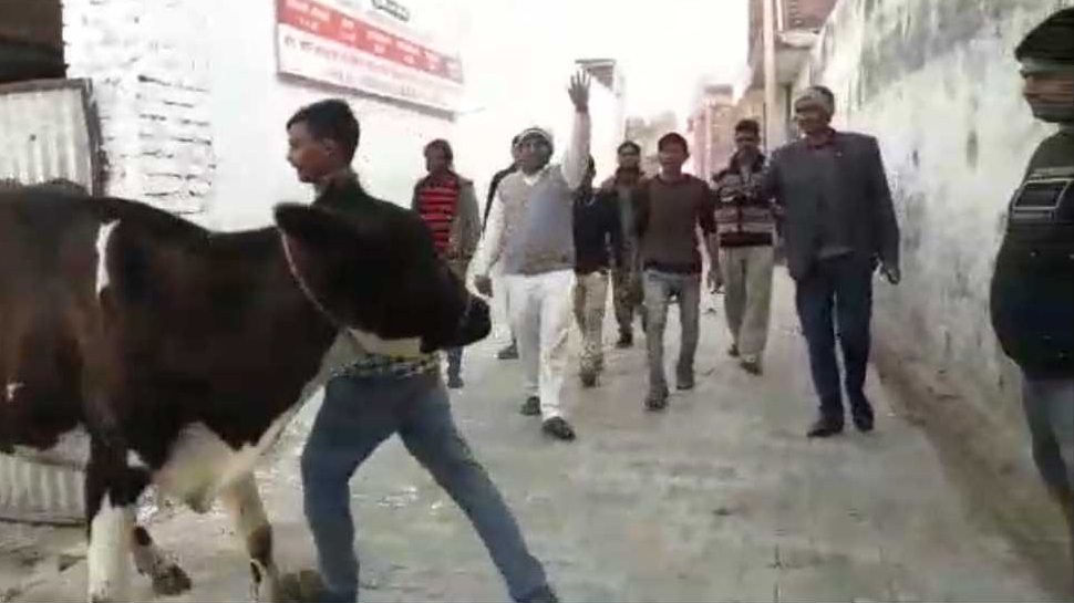 अलीगढ़ः नौशाद खां, जिन्होंने अपनी 2000 वर्गमीटर जमीन पर बनाया बेसहारा गायों के लिए बसेरा