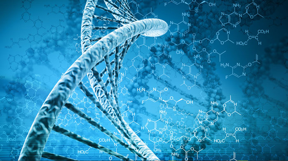 लंदनः वैज्ञानिकों ने तैयार किया नया DNA उपकरण, चलेगा पूर्वजों का पता लंदनः वैज्ञानिकों ने तैयार किया नया DNA उपकरण, चलेगा पूर्वजों का पता