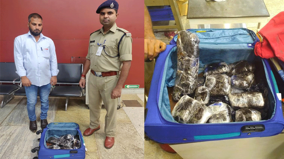 तस्करी के लिए बैग में बनाई गुप्त सतह, CISF की सतर्कता से नाकाम हुए मंसूबे तस्करी के लिए बैग में बनाई गुप्त सतह, CISF की सतर्कता से नाकाम हुए मंसूबे