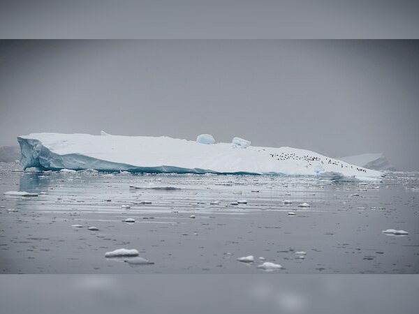 फोटो साभार : PTI