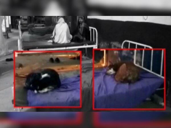 यह बिहार के नवादा सदर अस्पताल की तस्वीर है. 