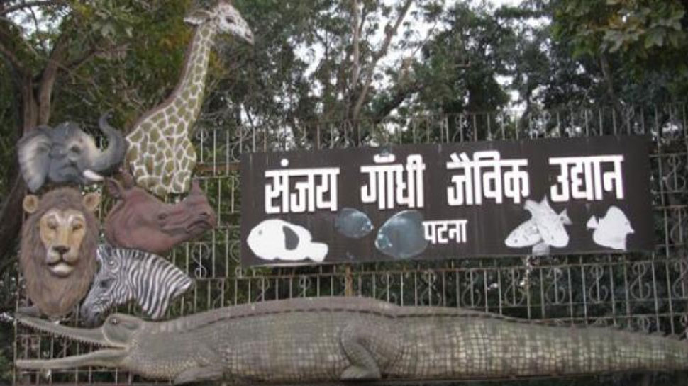 बिहारः संजय गांधी जैविक उद्यान के पक्षियों के नमूनों में नहीं मिले बर्ड फ्लू के लक्षण