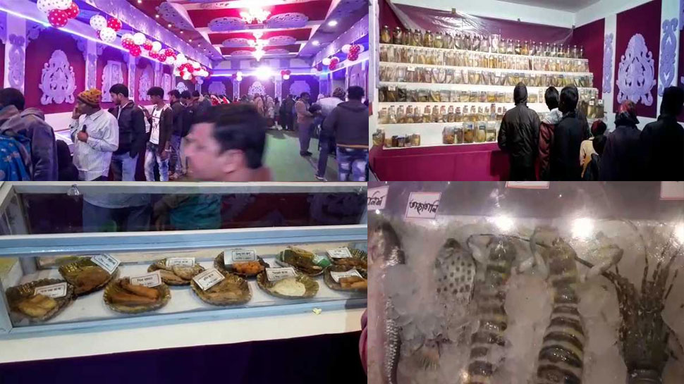पं बंगालः दीघा में शुरू हुआ 'Sea Food Festival', मछलियों की 180 प्रजातियों की प्रदर्शनी पं बंगालः दीघा में शुरू हुआ 'Sea Food Festival', मछलियों की 180 प्रजातियों की प्रदर्शनी