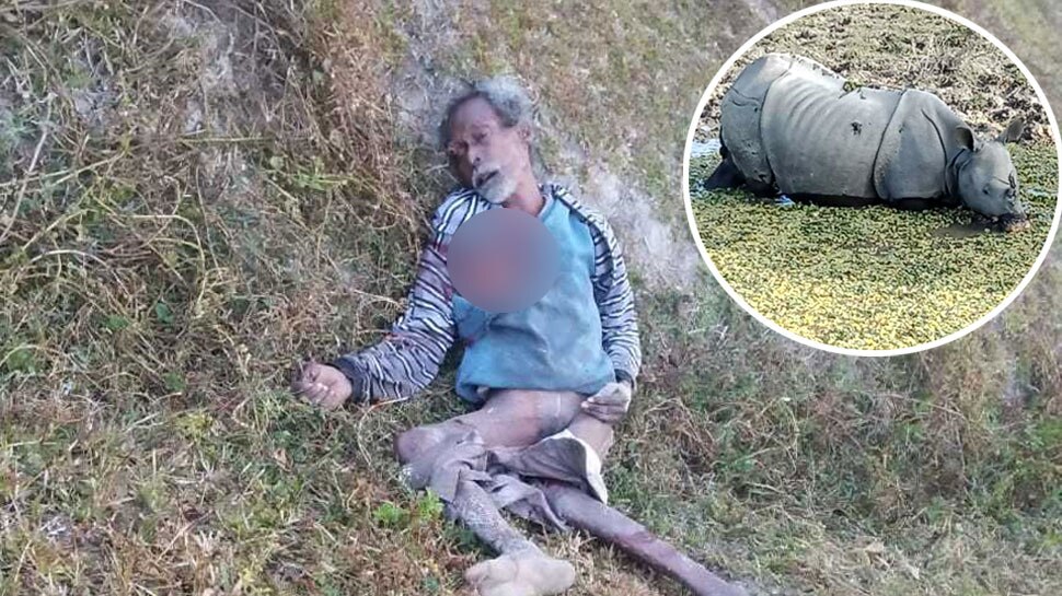 खुले में शौच करते वक्त पीछे से गैंडे ने किया अटैक, चाय बागान के मजदूर की दर्दनाक मौत