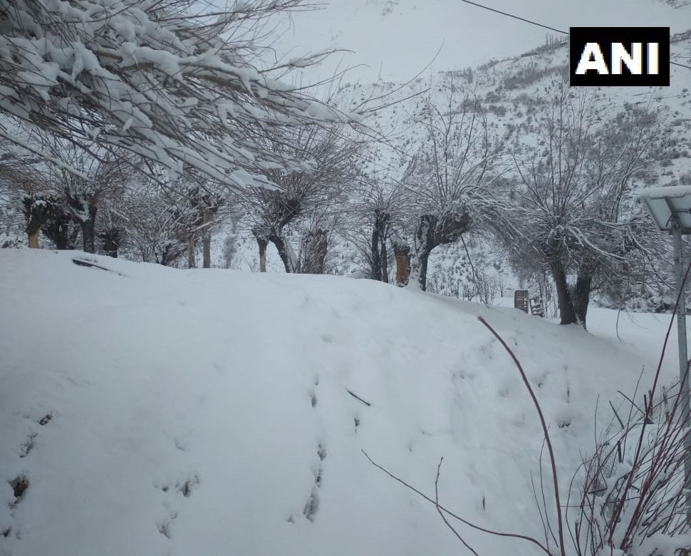 शिमला में भी तापमान गिरा Keylong in Lahaul-Spiti district fresh snowfall-5