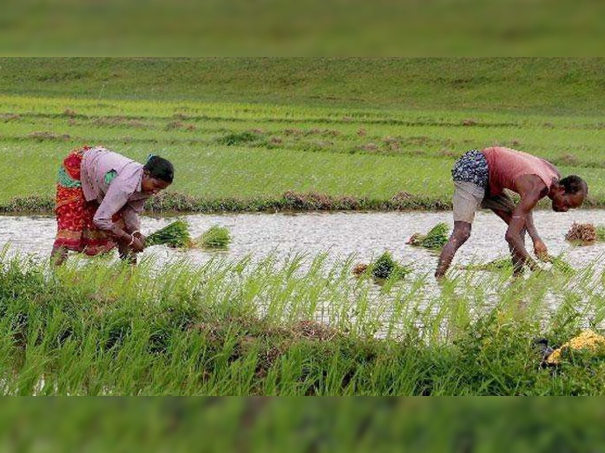 छत्‍तीसगढ़ सरकार किसानों के बकाया सिंचाई कर को माफ करेगी : CM