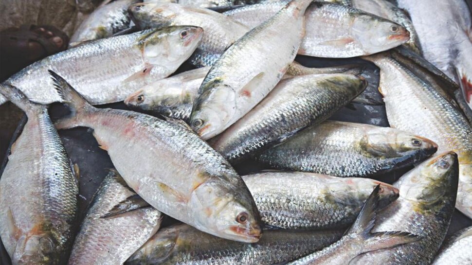 सूखे की मार झेल रहे ऑस्ट्रेलिया में हजारों मछलियों की मौत, दोबारा हुई घटना