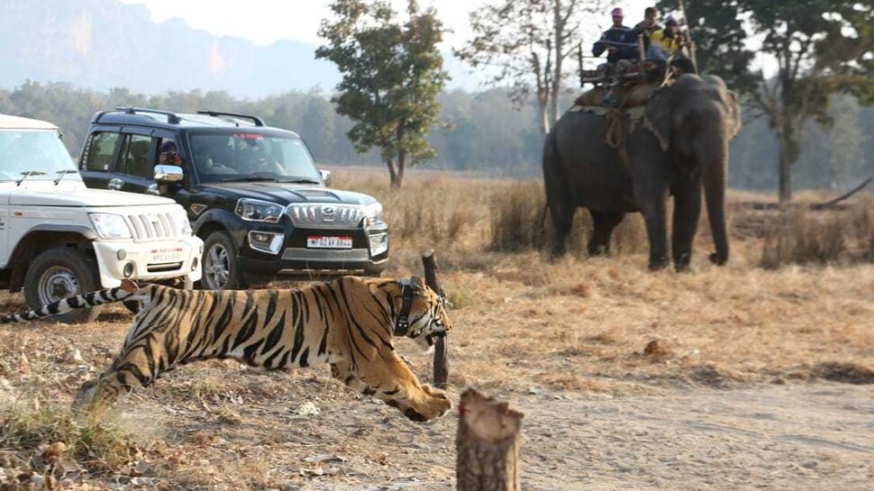 वनग्रामों का विस्थापन Displacement of forests