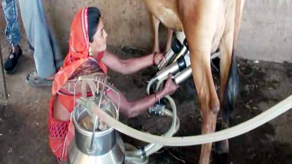 मिसाल: धर्मिष्टा ने कर्ज के पैसों से शुरू किया पशुपालन, आज हैं 'रोजगारदाता' मिसाल: धर्मिष्टा ने कर्ज के पैसों से शुरू किया पशुपालन, आज हैं 'रोजगारदाता'
