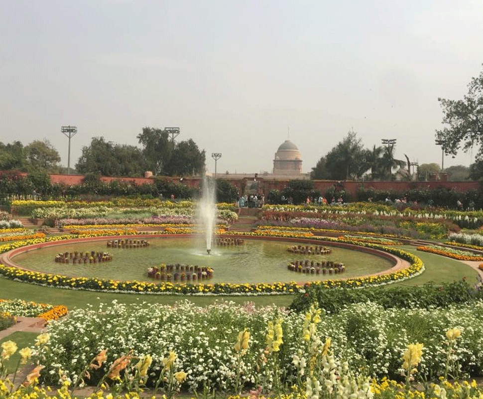 पीले और सफेद फूल हैं खास Mughal Gardens will open from 6th February-3