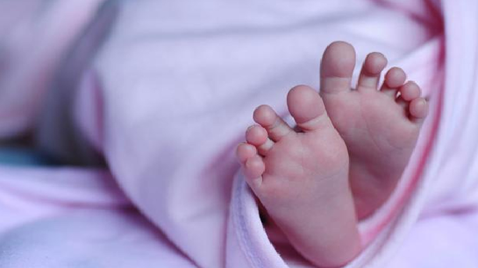 MP: डॉक्टर ने कहा, 1 करोड़ का वेंटिलेटर खरीद कर लाओ, इलाज न मिलने से बच्ची की मौत MP: डॉक्टर ने कहा, 1 करोड़ का वेंटिलेटर खरीद कर लाओ, इलाज न मिलने से बच्ची की मौत