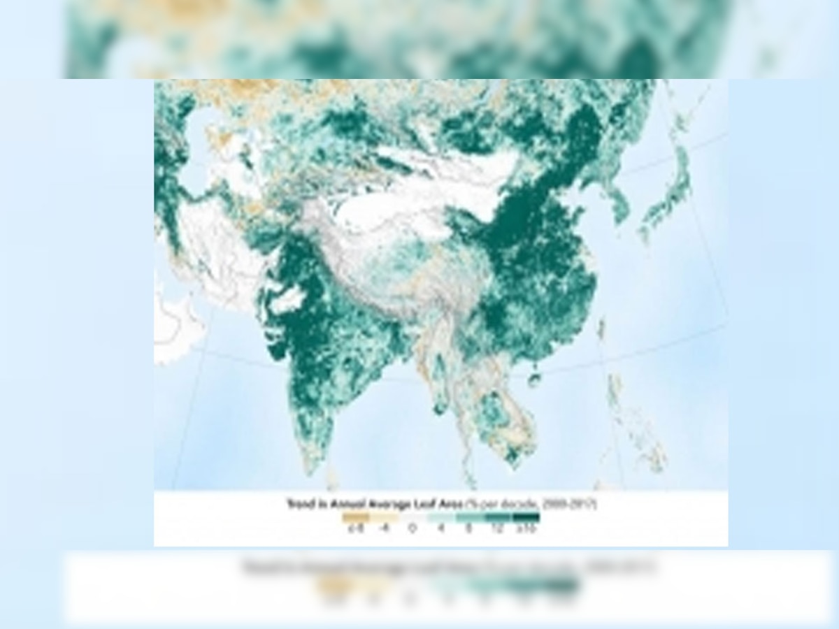 2017 में भारत ने केवल 12 घंटों में 6.6 करोड़ पौधे लगाकर अपना विश्व रिकॉर्ड तोड़ा था. .(फोटो- आईएएनएस)