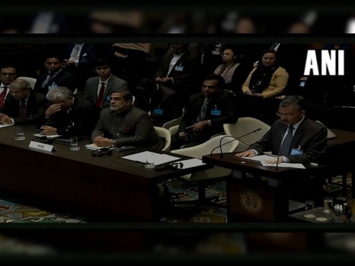 सुनवाई के दौरान विदेश मंत्रालय में संयुक्त सचिव दीपक मित्तल ने कहा,‘सैन्य अदालत के फैसले को रद्द करें और पाकिस्तान को मृत्युदंड का अनुपालन करने से रोकें.' (फोटो साभार - ANI)