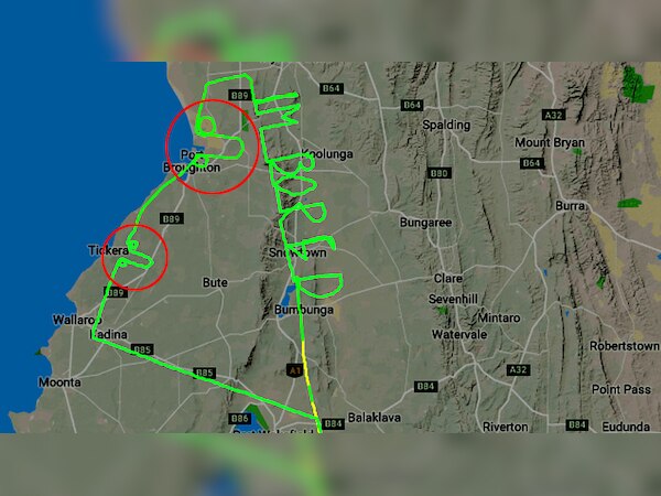 (फोटो साभार क्रॉप्ड फ्रॉम @flightradar24)