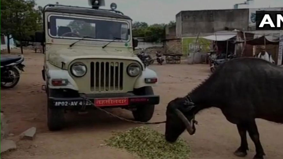 MP के किसान की अनोखी रिश्वत ने तहसीलदार के छुड़ाए पसीने MP के किसान की अनोखी रिश्वत ने तहसीलदार के छुड़ाए पसीने