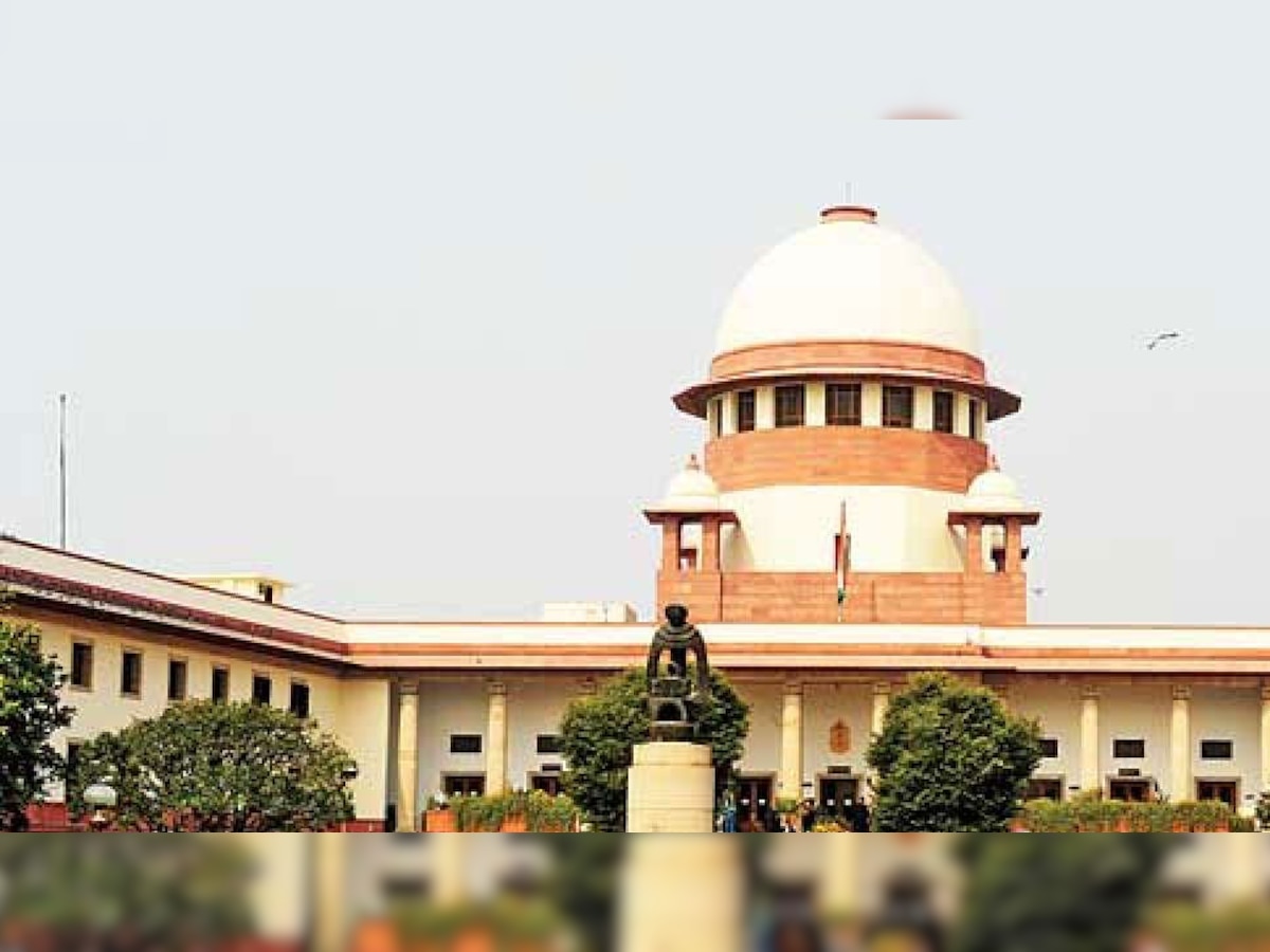 बाल श्रम के आरोपी दंपति को दिल्ली HC ने सुनाई अनूठी सजा, 100 पौधे लगाने का दिया आदेश
