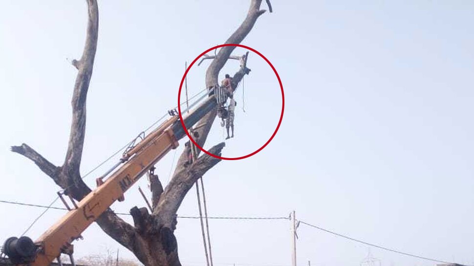 झारखंड : तोता निकालने के क्रम में फंस गया युवक का हाथ, 40 मिनट तक पेड़ से झूलता रहा