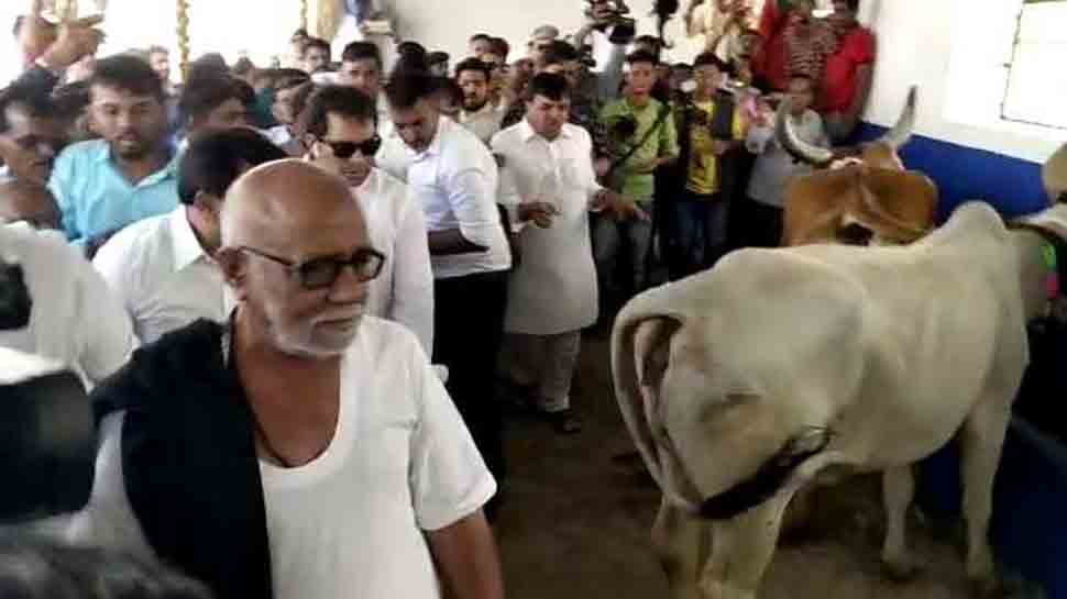 गुजरात: पहली बार दरगाह में हुआ गौशाला का निर्माण, घर-घर गाय पालने का दिया संदेश गुजरात: पहली बार दरगाह में हुआ गौशाला का निर्माण, घर-घर गाय पालने का दिया संदेश