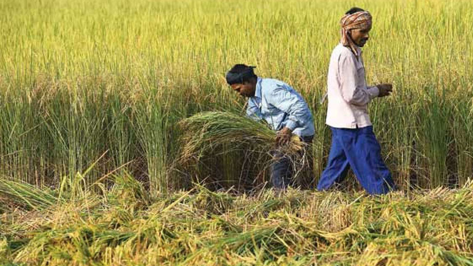 राजस्थान में कर्जमाफी के लिए बायोमेट्रिक सिस्टम से जुड़े 15 लाख किसान
