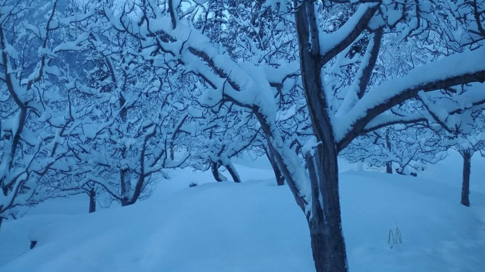 मानसून की मार झेल रहा था हिमाचल snowfall in Himachal Pradesh-5