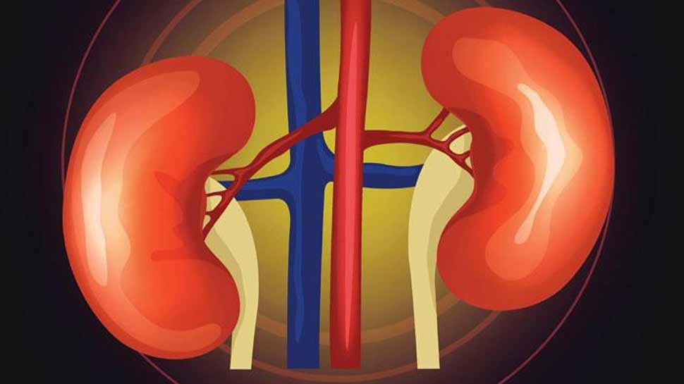देश में हर साल 2 लाख लोगों को होती है किडनी बीमारी, जानिए क्या है उपाय