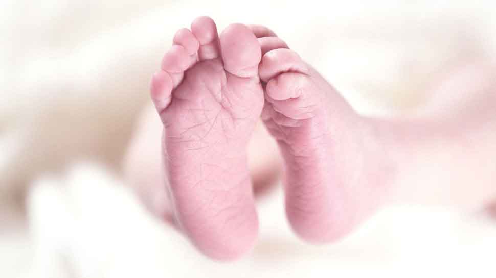 सिर्फ 9 मिनट और महिला ने 6 बच्चों को दिया जन्म, जानें कहां हुआ यह वाक्या सिर्फ 9 मिनट और महिला ने 6 बच्चों को दिया जन्म, जानें कहां हुआ यह वाक्या
