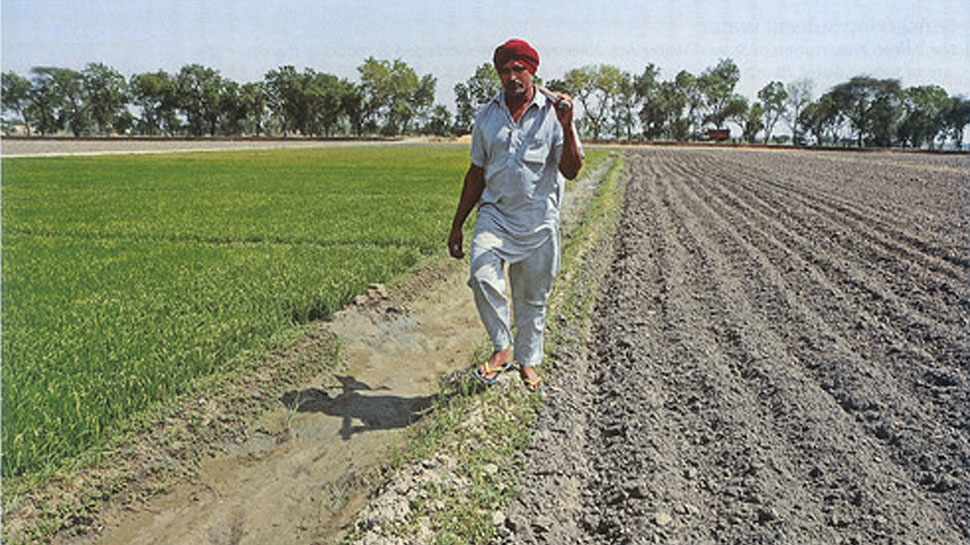 अमेरिका और यूरोप के किसानों को भारत के मुकाबले ज्यादा सब्सिडी मिलती है :  वाणिज्य सचिव