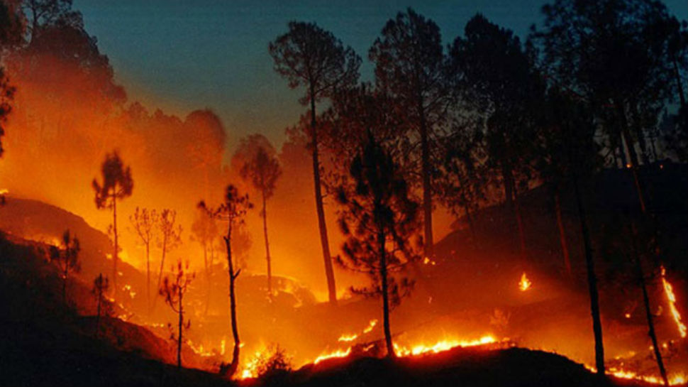 गुमला के जंगलों में लगी भीषण आग, पेड़ और औषधियों के जलने से ग्रामीणों में आक्रोश