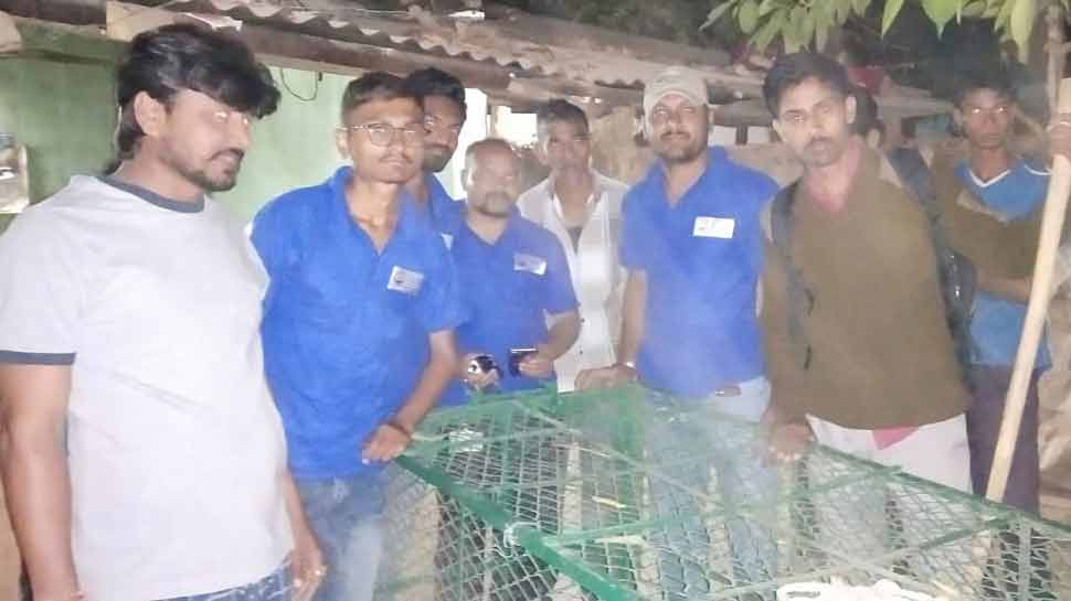 officers releases crocodile to the pond