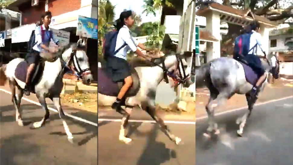स्कूल बैग टांगा और घोड़े को सरपट दौड़ाते परीक्षा देने स्कूल पहुंची ये लड़की, VIDEO हुआ वायरल स्कूल बैग टांगा और घोड़े को सरपट दौड़ाते परीक्षा देने स्कूल पहुंची ये लड़की, VIDEO हुआ वायरल