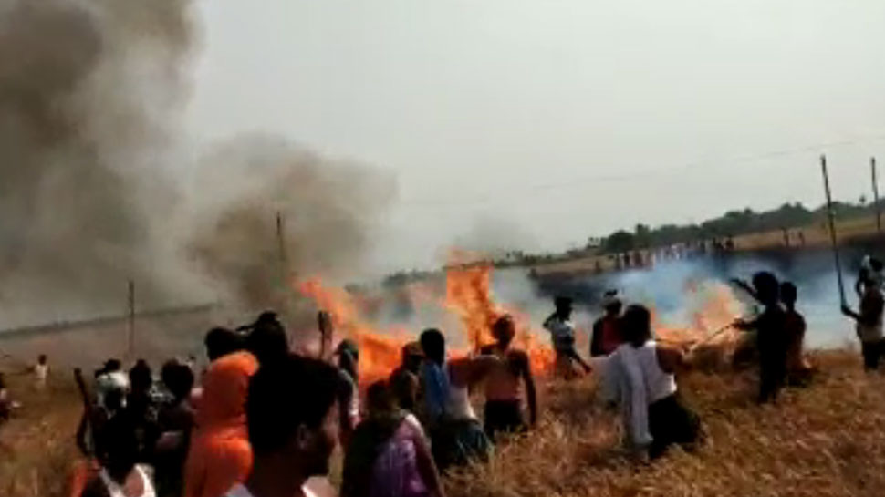 नवादाः आग लगने से सैकड़ो एकड़ गेहूं की फसल जल कर खाक, किसानों का रो-रो कर बुरा हाल