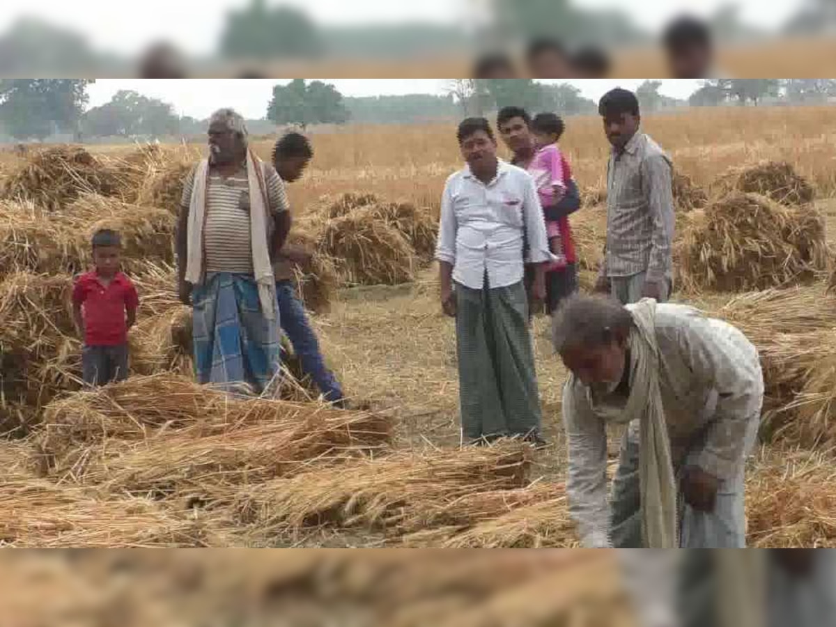 आंधी और बारिश के बाद किसानों की फसले खराब हो गईं. 