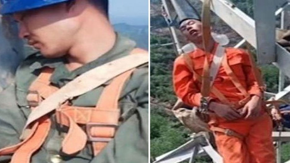 160 फीट की ऊंचाई पर खंभे से लटककर नींद लेते हैं ये लोग, VIDEO देख आपका मुंह भी रह जाएगा खुला 160 फीट की ऊंचाई पर खंभे से लटककर नींद लेते हैं ये लोग, VIDEO देख आपका मुंह भी रह जाएगा खुला