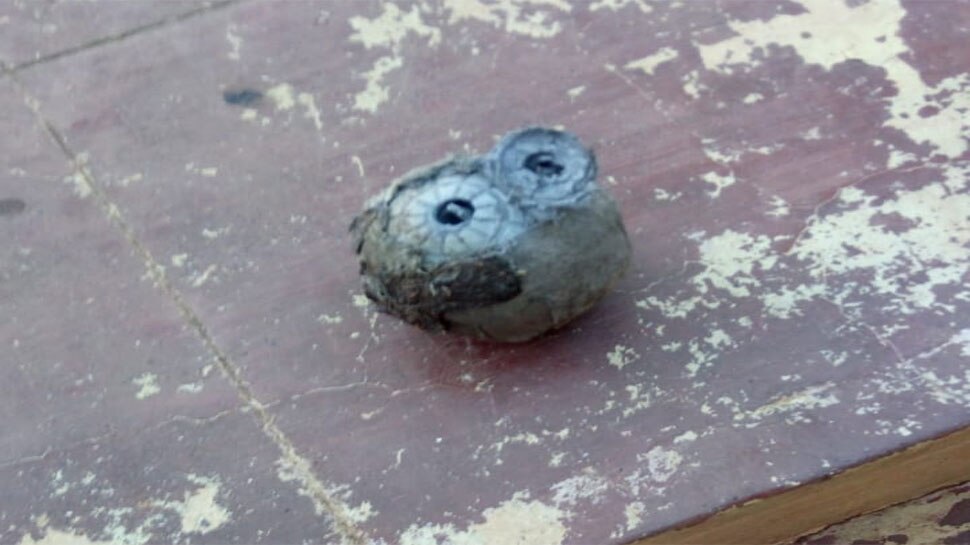 पटाखो में इस्तेमाल होने वाला पदार्थ मिला Found substance used in crackers