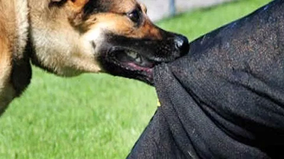 .(प्रतीकात्मक तस्वीर) .(प्रतीकात्मक तस्वीर)