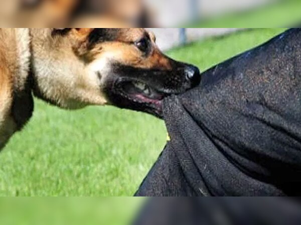 .(प्रतीकात्मक तस्वीर)