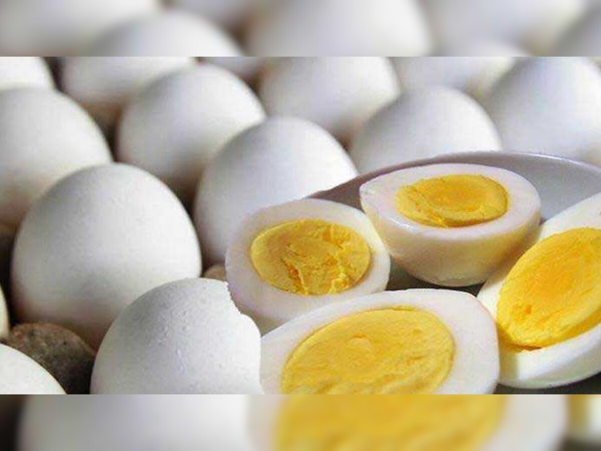 अंडा से बॉडी को प्रचुर मात्रा में प्रोटीन की आपूर्ति होती है. प्रतीकात्मक तस्वीर