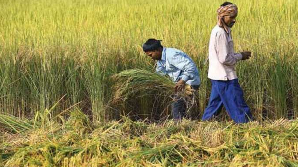 मध्य प्रदेश के किसानों के लिए फिर आई अच्छी खबर, दोबारा शुरू होगी कर्जमाफी प्रक्रिया मध्य प्रदेश के किसानों के लिए फिर आई अच्छी खबर, दोबारा शुरू होगी कर्जमाफी प्रक्रिया